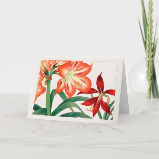 アマリリスby谷上湖南 カード (正面)