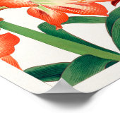 アマリリスby谷上湖南 ポスター (角)