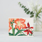 アマリリスby谷上湖南 ポストカード (スタンド正面)