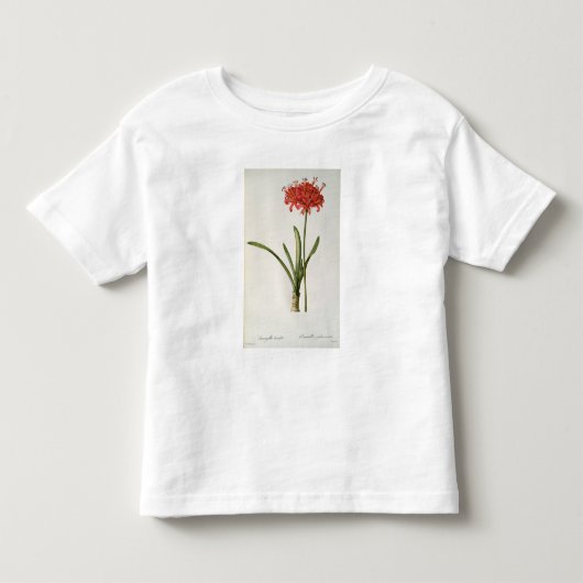 アマリリスCurvifolia ` Lesからの1809年、 トドラーTシャツ (正面)