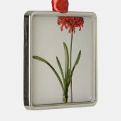 アマリリスCurvifolia ` Lesからの1809年、 メタルオーナメント (右)