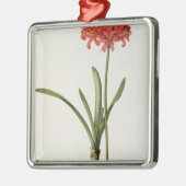 アマリリスCurvifolia ` Lesからの1809年、 メタルオーナメント (左)