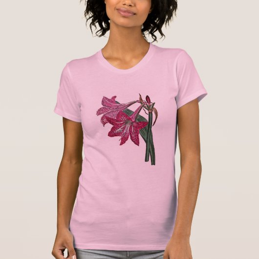 アマリリスReticulata Tシャツ (正面)