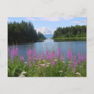 アマルガの暖炉の景色 ポストカード