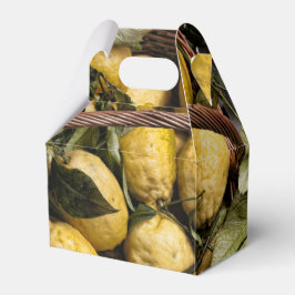 アマルフィのレモンバスケット フェイバーボックス