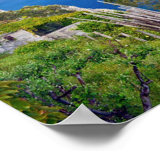 アマルフィコーストイタリア ポスター (角)