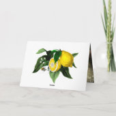 アマルフィ海岸のレモン | あなたの写真とテキスト サンキューカード (裏面)