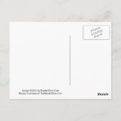 アマレットマンゴマルティーニレシピハガキ ポストカード (裏面)