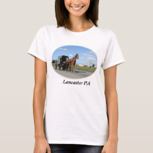 アマン派の国のTシャツ Tシャツ