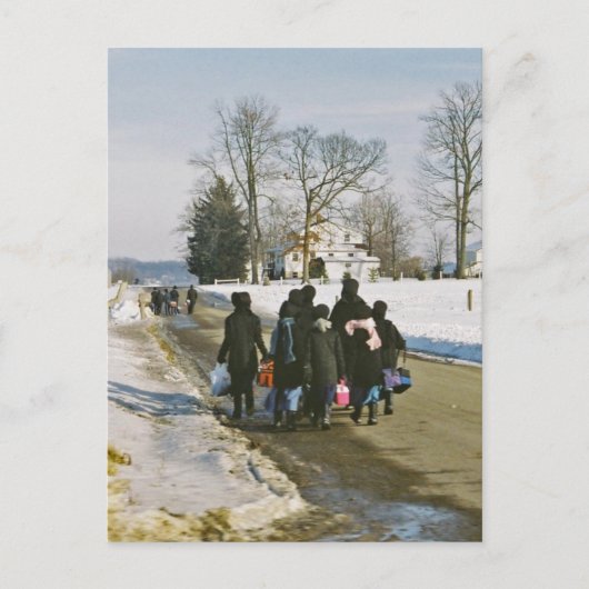 アマン派の授業日の郵便はがき ポストカード (正面)