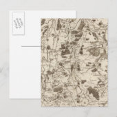 アミエンス ポストカード (正面/裏面)