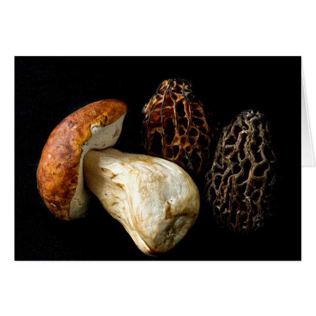 アミガサタケおよび王Bolete (正面横)