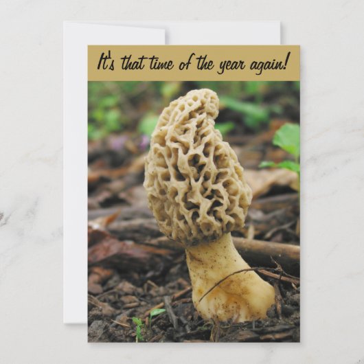 アミガサタケのきのこの狩りの招待状 招待状 (正面)