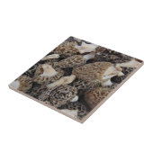 アミガサタケのきのこ タイル (側面)