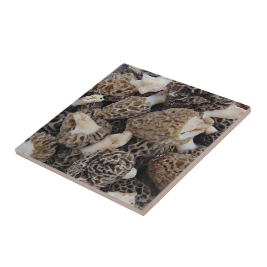 アミガサタケのきのこ タイル (側面)