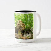 アミガサタケのきのこ-森林の宝石 ツートーンマグカップ (正面右)