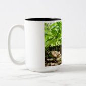 アミガサタケのきのこ-森林の宝石 ツートーンマグカップ (左)