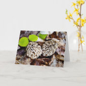 アミガサタケのハンターの挨拶状 カード (黄色い花)