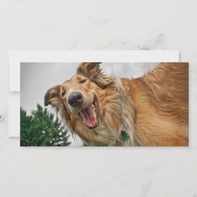 アミガザニコニコ (正面)