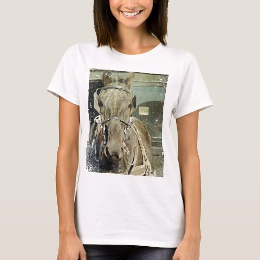 アミグランジッシュ乳母車ホース Tシャツ (正面)