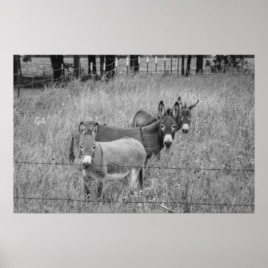 アミゴス3基 ポスター (正面)