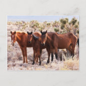 アミゴス3基 ポストカード (正面)