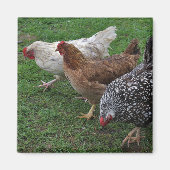 アミゴス3基 マグネット (正面)