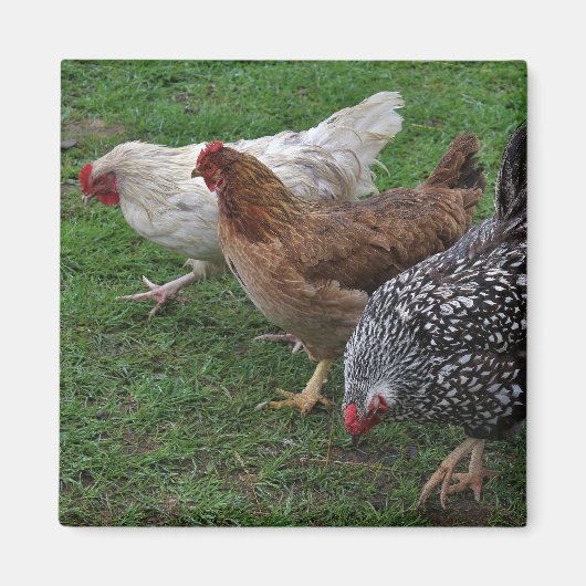 アミゴス3基 マグネット (正面)