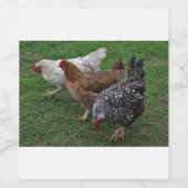 アミゴス3基 ワインラベル (シングルラベル)