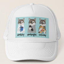 アミザオフィスキャットハット