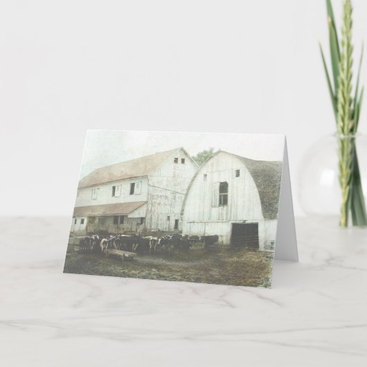 アミシュ酪農家 カード (正面)