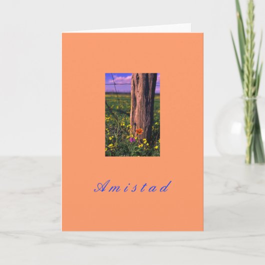 「アミスタッド」 シーズンカード (正面)