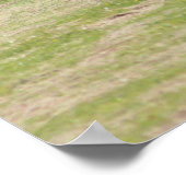 アミッシュな生活 ポスター (角)