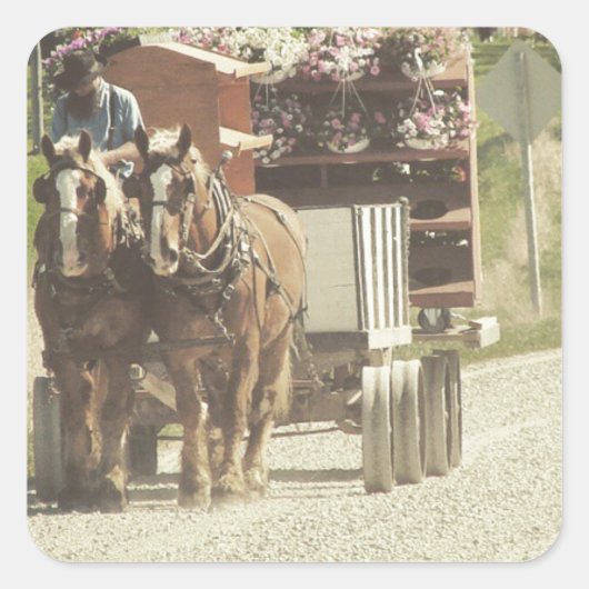 アミッシュな花配信 スクエアシール (正面)