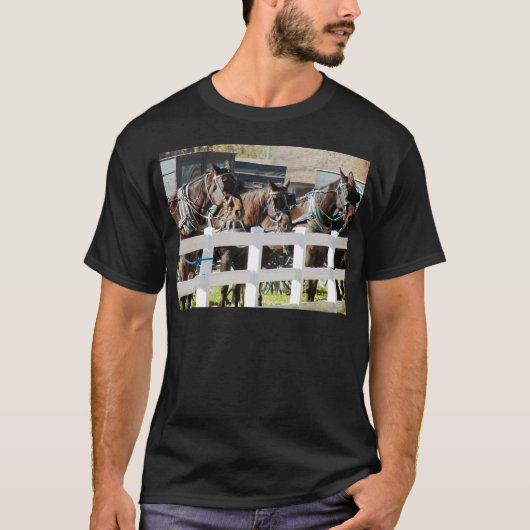 アミッシュな馬の列 Tシャツ (正面)