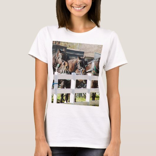アミッシュな馬の列 Tシャツ (正面)