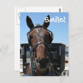 アミッシュスマイル! ポストカード (正面/裏面)