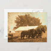 アミッシュチーム ポストカード (正面/裏面)