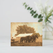 アミッシュチーム ポストカード (スタンド正面)