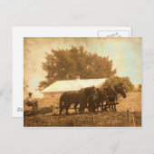 アミッシュチーム ポストカード (正面/裏面)