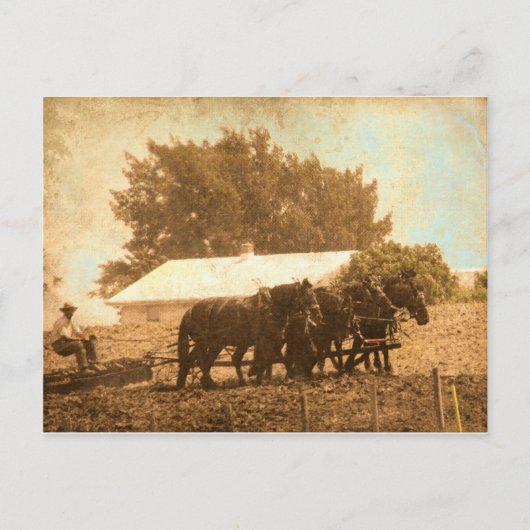 アミッシュチーム ポストカード (正面)