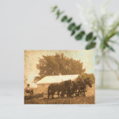 アミッシュチーム ポストカード (スタンド正面)