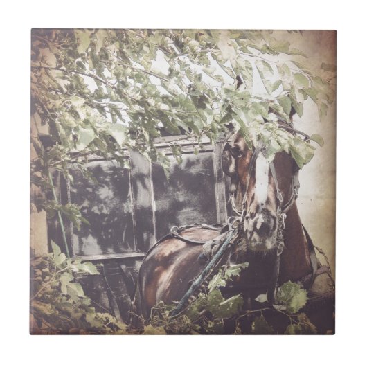 アミッシュホースと乳母車の陰 タイル (正面)