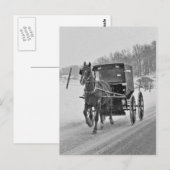アミッシュホースと乳母車3葉書 ポストカード (正面/裏面)