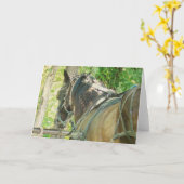 アミッシュホースアットヒッチングポストすべての行事 カード (黄色い花)