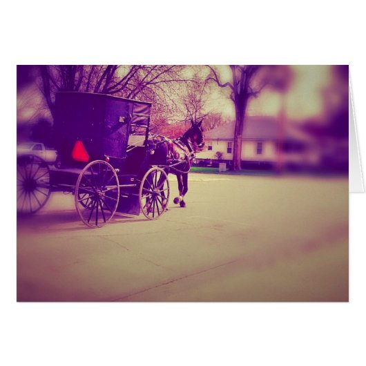 アミッシュホースアンド乳母車 (正面横)