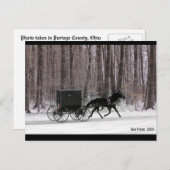 アミッシュホースアンド乳母車 ポストカード (正面/裏面)