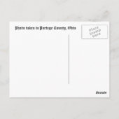 アミッシュホースアンド乳母車 ポストカード (裏面)