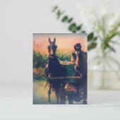 アミッシュホースチーム ポストカード (スタンド正面)