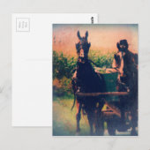 アミッシュホースチーム ポストカード (正面/裏面)